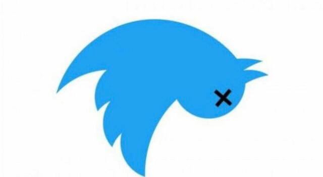 SE CAE UNIVERSALMENTE TWITTER