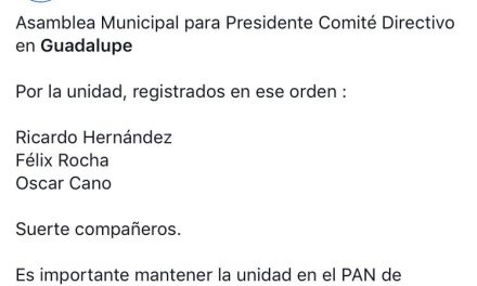 LOS NUEVOS “JUANITOS” APARECEN EN PANISMO DE GUADALUPE, TRES MUJERES “PODEROSAS” MANDARON AL ESPOSO DE COMPARSA, DOS DIPUTADAS Y LA SECRETARIA DE RAÚL GRACIA