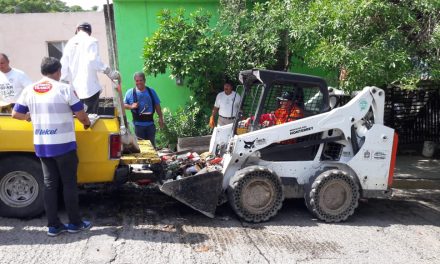 HACEN LIMPIEZA DE CACHARROS EN MONTERREY.