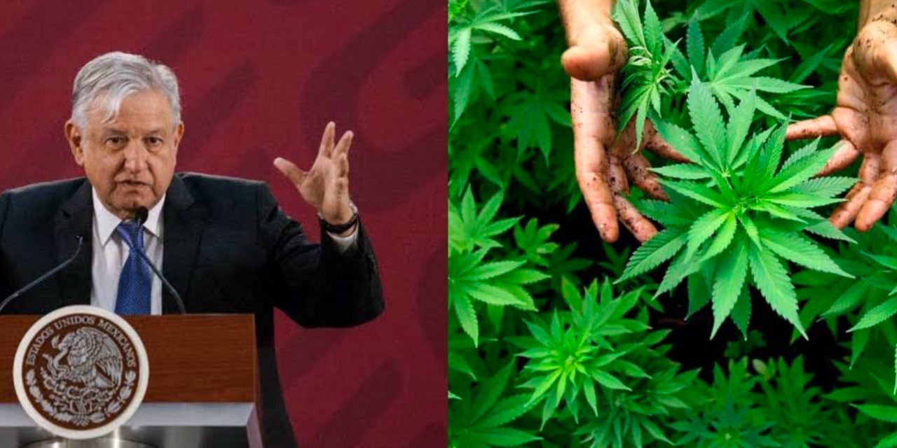 PRÓXIMA CONSULTA DE OBRADOR SERÍA SOBRE MARIHUANA