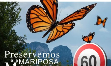 EXHORTA SAN PEDRO PROTEGER A LA MARIPOSA MONARCA