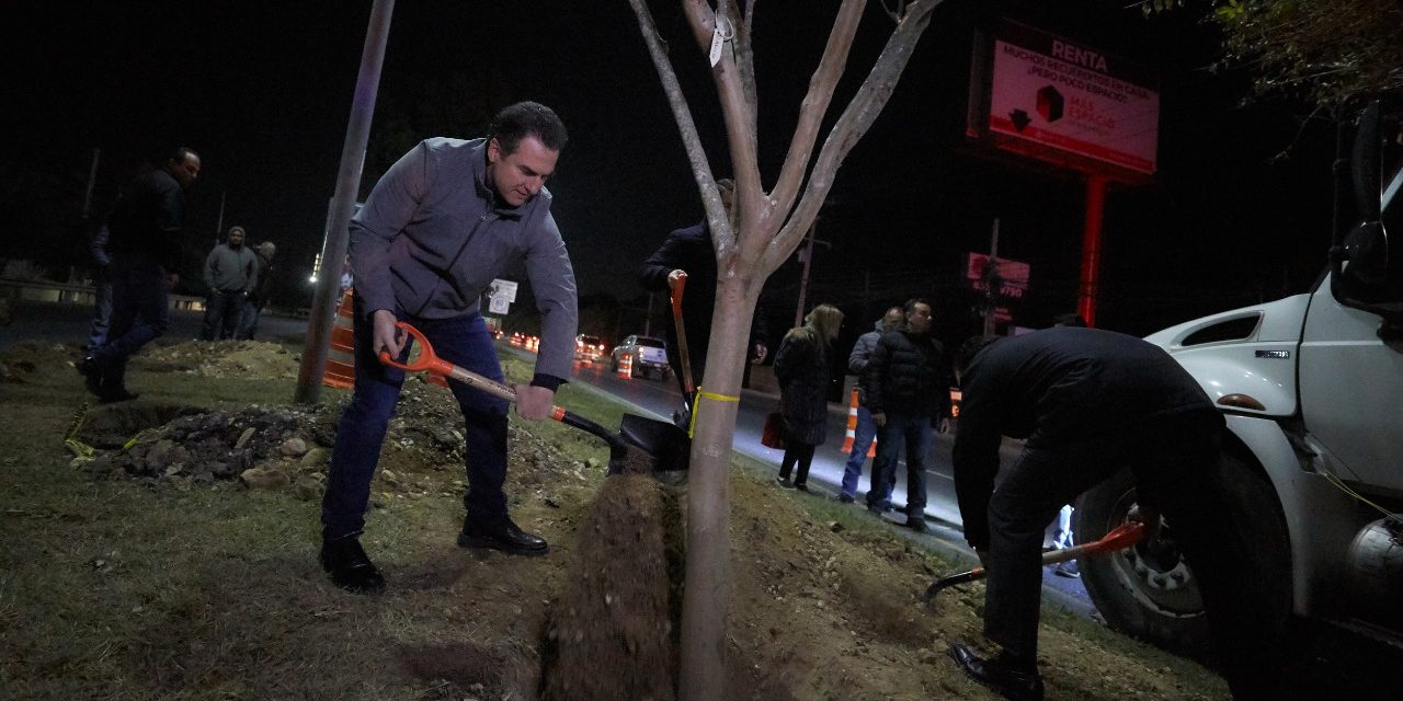 MONTERTEY ARRANCA REFORESTACIÓN EN CARRETERA NACIONAL