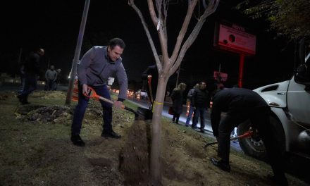 MONTERTEY ARRANCA REFORESTACIÓN EN CARRETERA NACIONAL