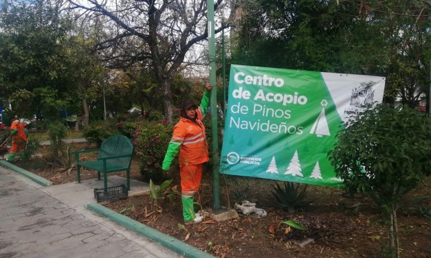 ¡¡DEJA TU PINO Y AYUDAS A TUS PARQUES!!