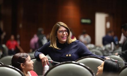 SUSPENSIÓN DE PROCESOS ELECTORALES EN COAHUILA E HIDALGO, OPORTUNIDAD PARA ELEGIR A LOS MEJORES CANDIDATOS: GUILLERMINA ALVARADO