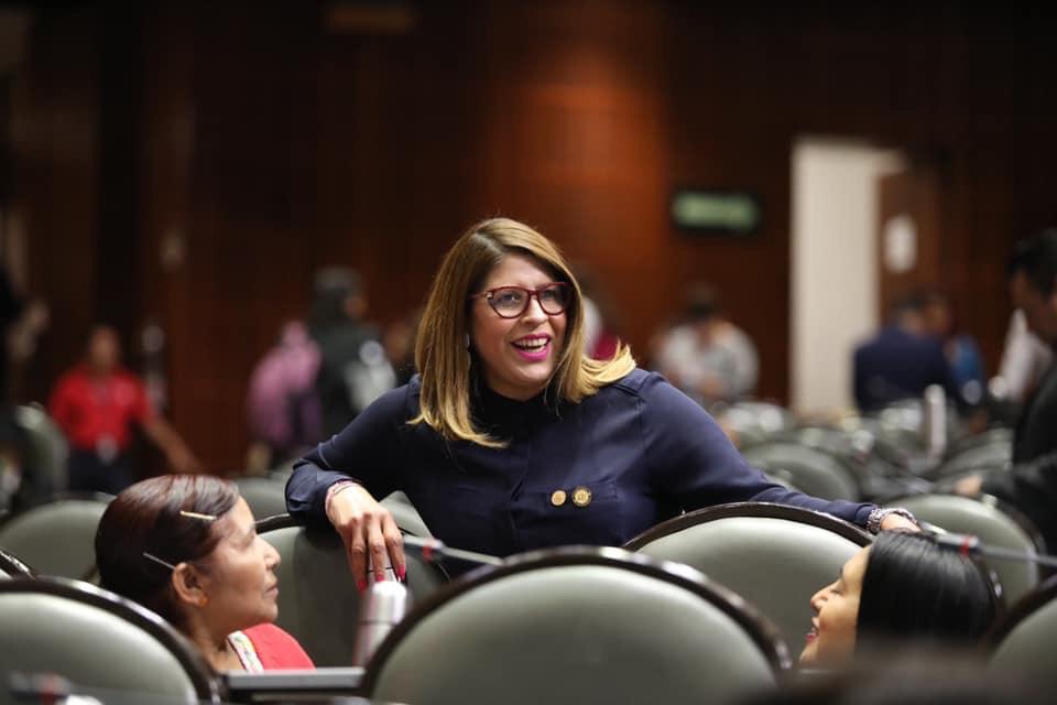 SUSPENSIÓN DE PROCESOS ELECTORALES EN COAHUILA E HIDALGO, OPORTUNIDAD PARA ELEGIR A LOS MEJORES CANDIDATOS: GUILLERMINA ALVARADO