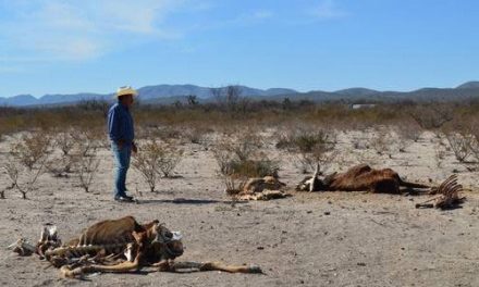 NO QUEREMOS UN DÍA SIN AGUA, LA ALERTA DE SEQUÍA EN NUEVO LEÓN SE AGUDIZA