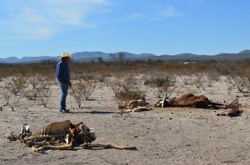 NO QUEREMOS UN DÍA SIN AGUA, LA ALERTA DE SEQUÍA EN NUEVO LEÓN SE AGUDIZA