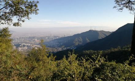 PIDEN APOYOS PARA CHIPINQUE