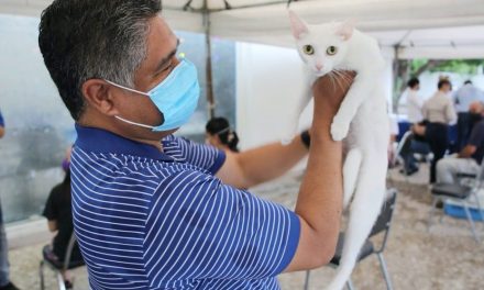 REALIZA CON ÉXITO VÍCTOR FUENTES Y ASOCIACIÓN RENZO PRIMERA JORNADA DE ESTERILIZACIÓN DE MASCOTAS