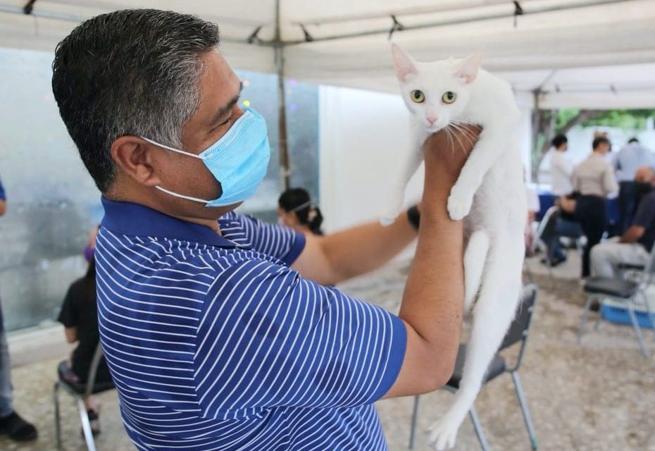 REALIZA CON ÉXITO VÍCTOR FUENTES Y ASOCIACIÓN RENZO PRIMERA JORNADA DE ESTERILIZACIÓN DE MASCOTAS