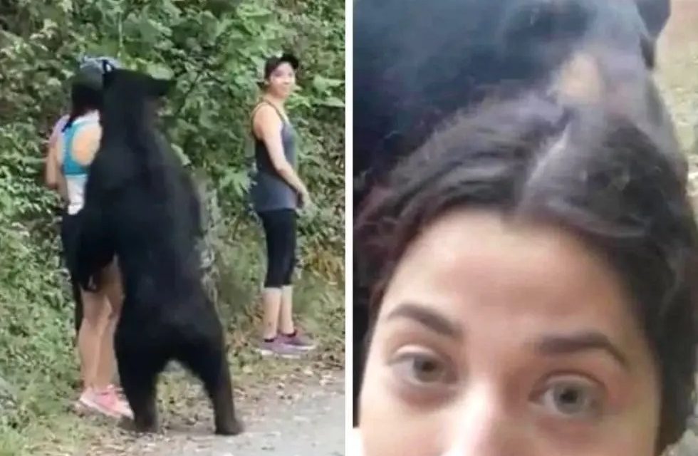 SE COLOCAN TRAMPAS PARA CAPTURAR AL OSO DEL PARQUE CHIPINQUE