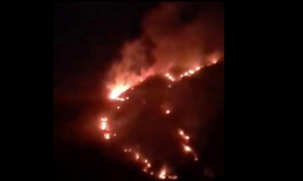 PARA SALVARSE DECIDEN INCENDIAR UNA SIERRA EN BUSTAMANTE