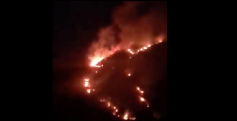 PARA SALVARSE DECIDEN INCENDIAR UNA SIERRA EN BUSTAMANTE