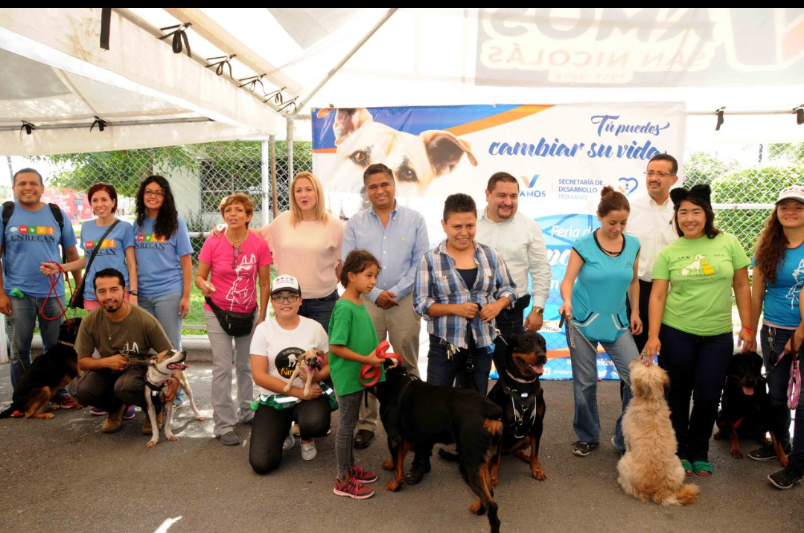 VÍCTOR FUENTES SOLÍS PONE EN MARCHA CAMPAÑA PARA ESTERELIZAR MASCOTAS.