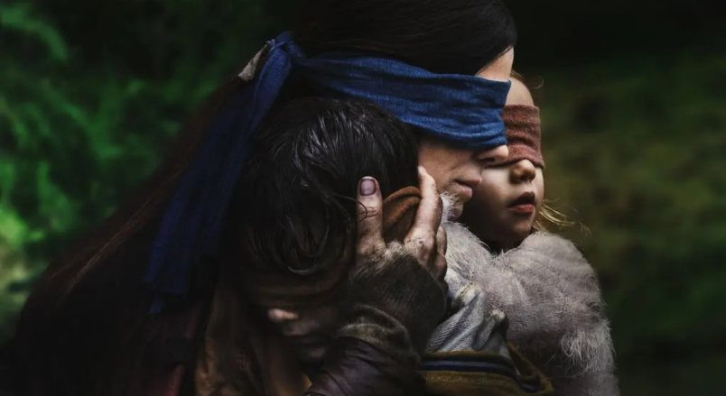 PREPARAN SEGUNDA ENTREGA DE BIRD BOX