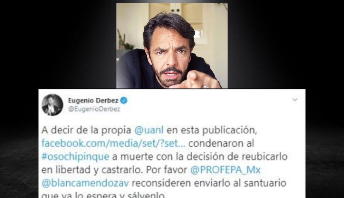 ACTOR, COMEDIANTE Y ADEMÁS PROTECTOR DE LA VIDA SILVESTRE. EUGENIO DERBEZ PIDE A LA PROFEPA NO RE-UBICAR AL OSO “AMIGABLE” DEL PARQUE CHIPINQUE