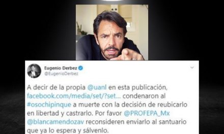 ACTOR, COMEDIANTE Y ADEMÁS PROTECTOR DE LA VIDA SILVESTRE. EUGENIO DERBEZ PIDE A LA PROFEPA NO RE-UBICAR AL OSO “AMIGABLE” DEL PARQUE CHIPINQUE