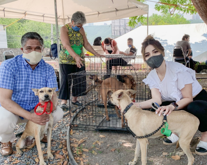 VÍCTOR FUENTES SOLÍS CON UN ACIERTO EN LA CAMPAÑA DE ESTERILIZACIÓN DE MASCOTAS, ES TODO UN ÉXITO