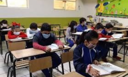 CADA VEZ SE CONFIRMA MÁS LA IMPOSIBILIDAD DE VOLVER A CLASES PRESENCIALES, AL MENOS POR LO QUE RESTA DE ESTE AÑO<br>