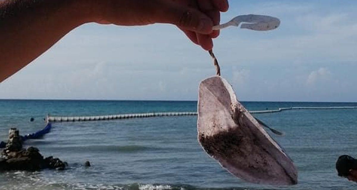 AUNQUE LOS CUBREBOCAS PREVIENEN ENFERMEDADES, TAL PARECE QUE ESTO NO APLICA EN QUINTANA ROO, EN ESPECIFICO EN LA PLAYA YA QUE SE HAN VIUELTO UN GRAVE PROBLEMA DE CONTAMINACIÓN