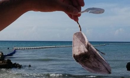 AUNQUE LOS CUBREBOCAS PREVIENEN ENFERMEDADES, TAL PARECE QUE ESTO NO APLICA EN QUINTANA ROO, EN ESPECIFICO EN LA PLAYA YA QUE SE HAN VIUELTO UN GRAVE PROBLEMA DE CONTAMINACIÓN