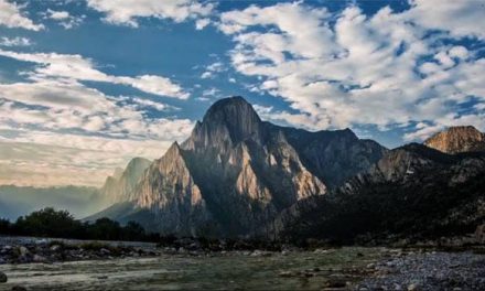 PLAN PARA RESGUARDAR Y PRESERVAR EL USO DEL SUELO FORESTAN DEL PARQUE CUMBRES PRESENTA RETRASO EN SU LICITACIÓN, SEÑALA LA CONANP QUE TODO ES CULPA DEL COVID-19