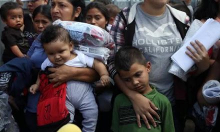 NO TODO ES CULPA DEL GOBIERNO AMERICANO, TAMBIÉN SON LOS PADRES INDOCUMENTADOS LOS QUE NO QUIEREN DE VUELTA A SUS NIÑOS EN SUS RESPECTIVOS PAÍSES