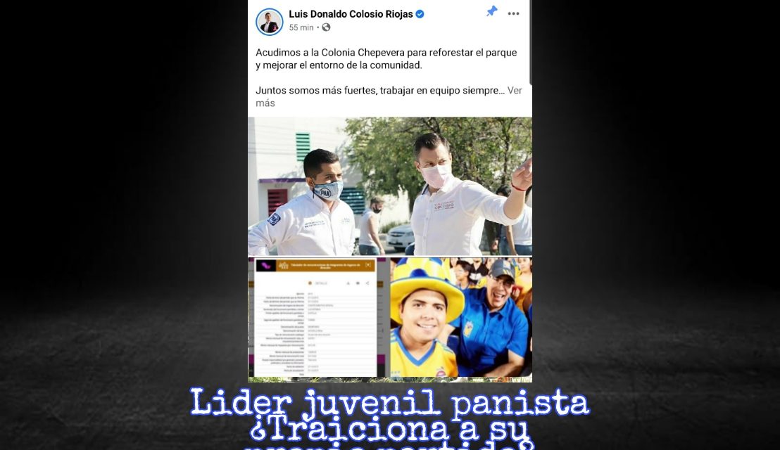 EL LÍDER JUVENIL DE LOS PANISTAS DESDE ESA EDAD APRENDE A TRAICIONAR SUS IDEALES E INCLUSO A SUS COMPAÑEROS DE PARTIDO ¿QUÉ PENSARÁN MARTÍN LÓPEZ, JUAN CARLOS RUIZ O LA MISMA ANNIA GÓMEZ, SOBRE FOTO DE NICOLAITA CON LUIS DONALDO COLOSIO?