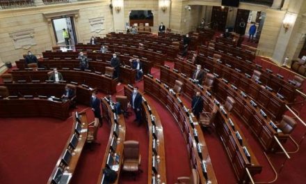 EL TERROR IMPERA EN LA CÁMARA MÁXIMA DE LEGISLACIÓN; LUEGO DE CONFIRMARSE VARIOS CONTAGIOS, LA CÁMARA DE DIPUTADOS EN SÁN LAZARO REALIZA SU PRIMERA SESIÓN SEMIPRESENCIAL DE LA HISTORIA