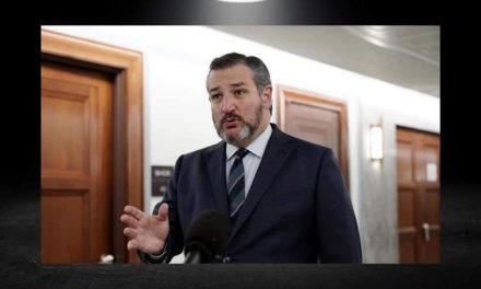 TED CRUZ CULPA A MÉXICO DE DESINTERÉS POR COLABORAR CON ESTADOS UNIDOS CONTRA EL NARCOTRAFICO.