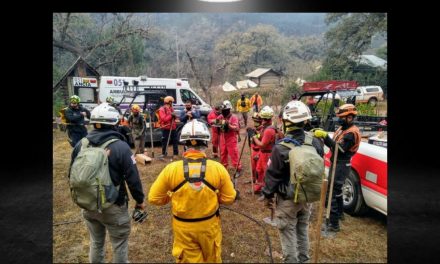 INCENDIOS A LA ALZA Y BOMBEROS TERMINARÁN CON 5 ESTACIONES MENOS DE LAS QUE EMPEZARON