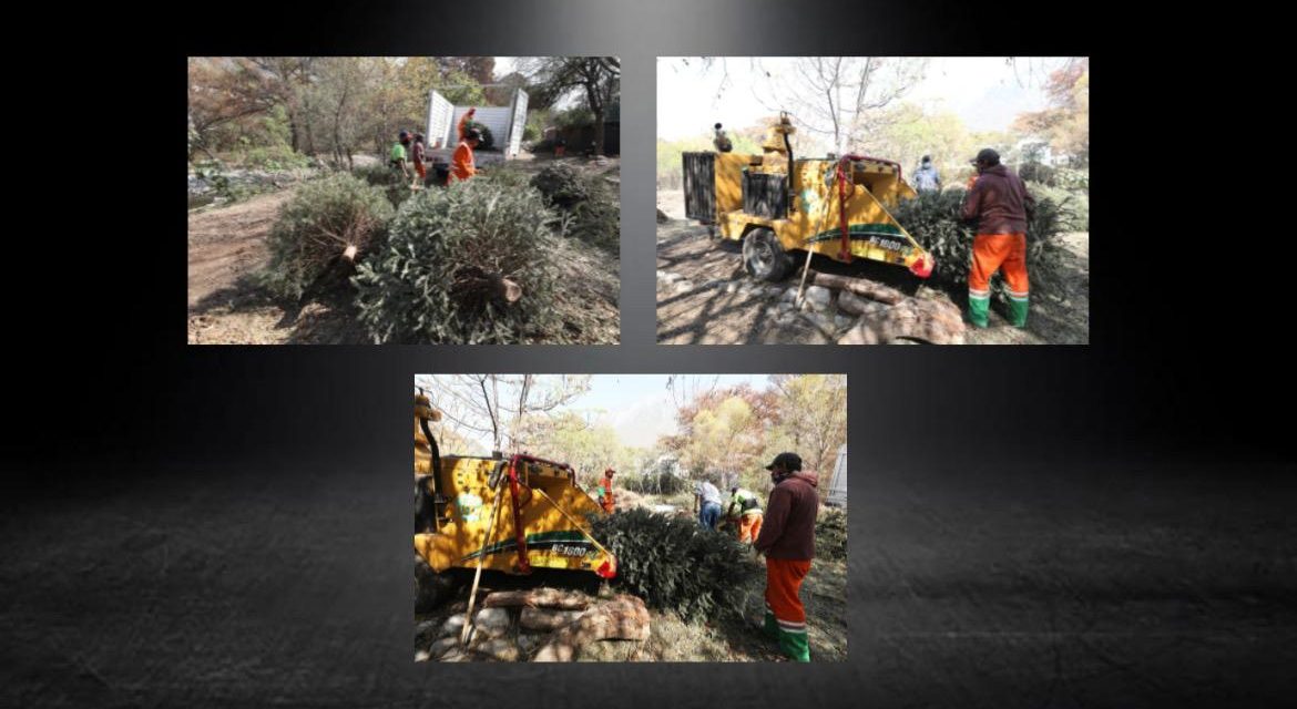 GOBIERNO DE MONTERREY INSTALA CENTROS DE ACOPIO PARA RECOLECTAR ÁRBOLES DE NAVIDAD NATURALES Y RECICLARLOS, NO HAY QUE DESCUIDAR EL MEDIO AMBIENTE