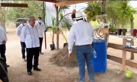 LÓPEZ OBRADOR LE CERRARÁ SUMINISTRO A CHENTE FOX; HACE UN LLAMADO A LOS AGRICULTORES A SEMBRAR ÁRBOLES FRUTALES EN VEZ DE AMAPOLA Y MARIHUANA