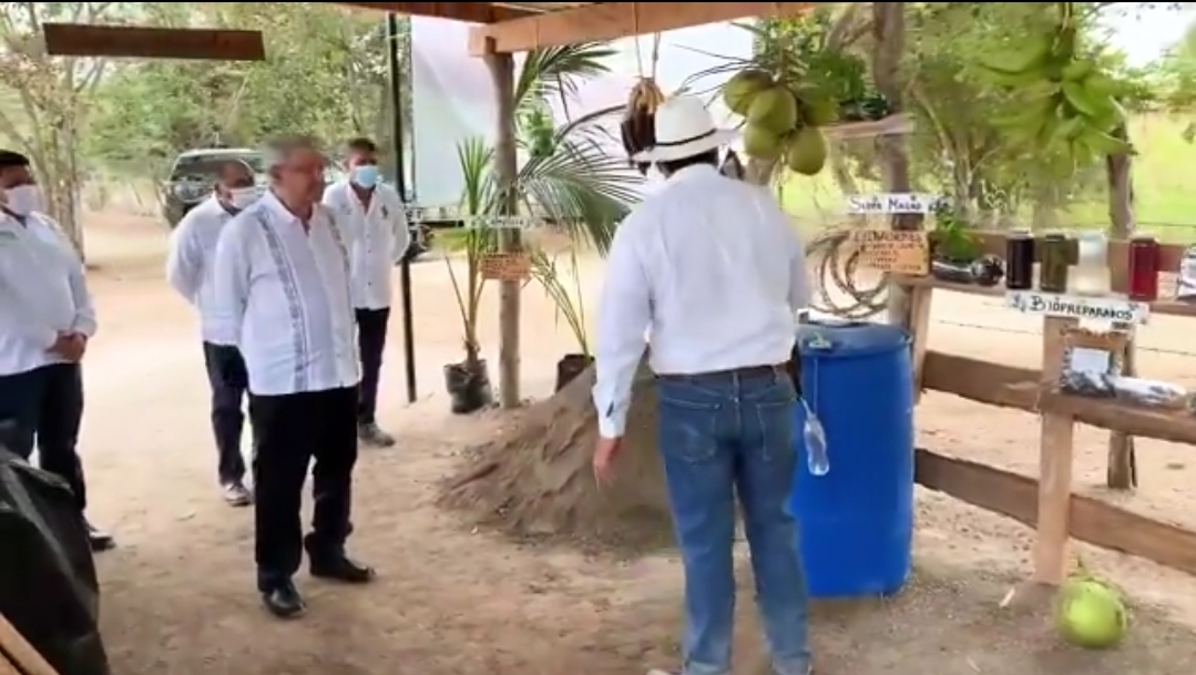 LÓPEZ OBRADOR LE CERRARÁ SUMINISTRO A CHENTE FOX; HACE UN LLAMADO A LOS AGRICULTORES A SEMBRAR ÁRBOLES FRUTALES EN VEZ DE AMAPOLA Y MARIHUANA