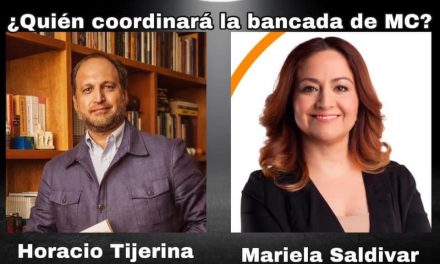 EN MOVIMIENTO CIUDADANO ¿COORDINARÁ SU BANCADA UN HOMBRE O UNA MUJER?