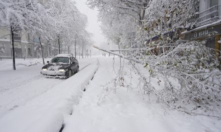 SE UNEN PARA QUITAR LA NIEVE DE LAS CALLES EN ESPAÑA