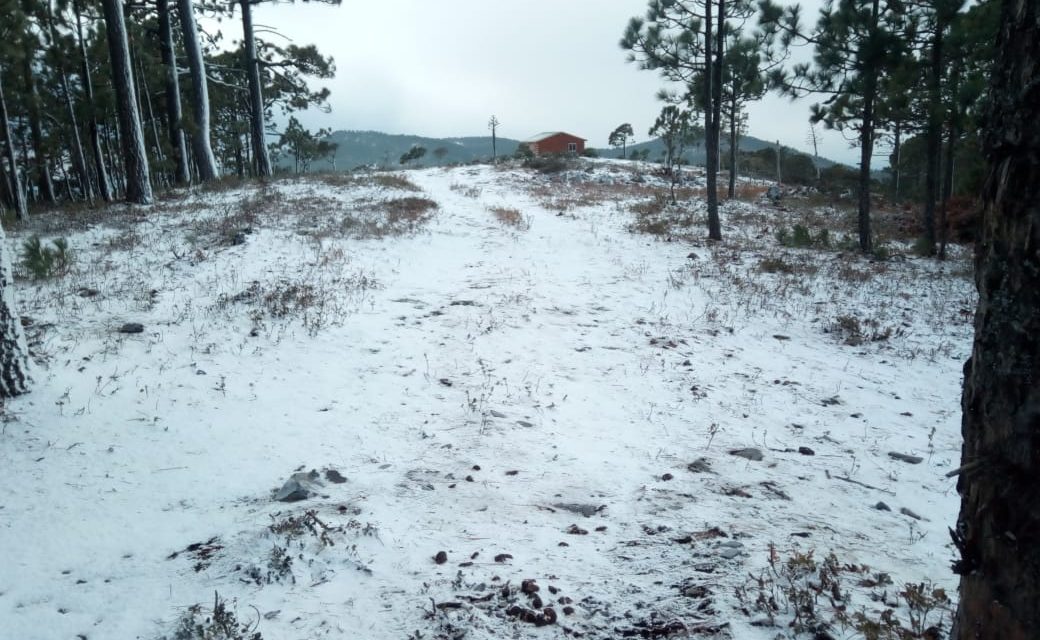 ¡AMANTES DE LA NIEVE! PREPÁRENSE QUE PRONÓSTICOS INDICAN POSIBLE AGUANIEVE O NIEVE EN ZONA METROPOLITANA