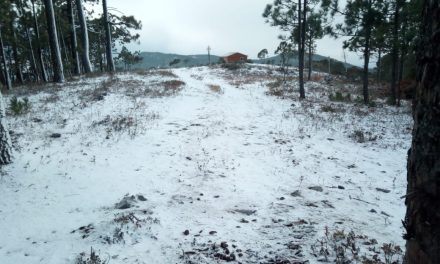 ¡AMANTES DE LA NIEVE! PREPÁRENSE QUE PRONÓSTICOS INDICAN POSIBLE AGUANIEVE O NIEVE EN ZONA METROPOLITANA