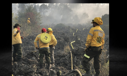 CONTINÚAN INCENDIOS FORESTALES EN EL PAÍS