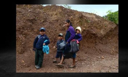 LA PREOCUPACIÓN POR EL COVID NO EXISTE ENTRE LA POBLACIÓN INDÍGENA DE GUERRERO, YA QUE SU PRINCIPAL PREOCUPACIÓN ES LA SUPERVIVENCIA