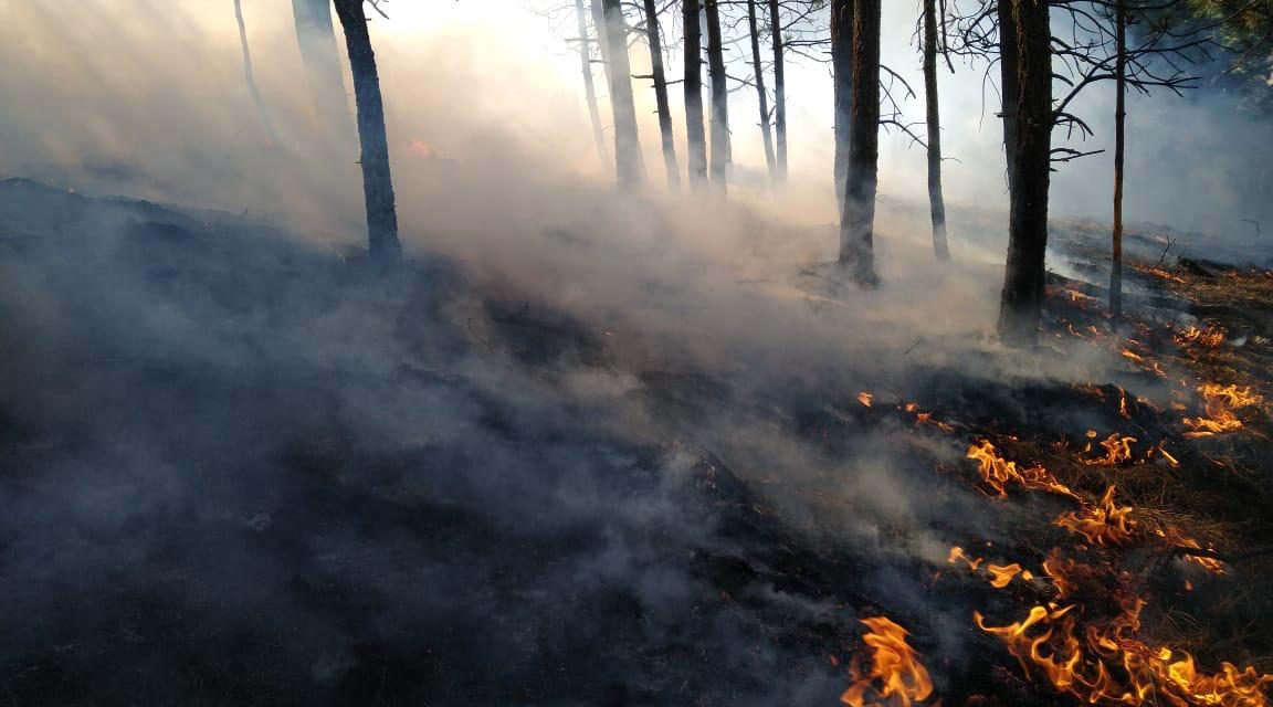 VECINOS DE MONTEMORELOS-RAYONES PREOCUPADOS POR INCENDIOS<br>