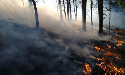 VECINOS DE MONTEMORELOS-RAYONES PREOCUPADOS POR INCENDIOS<br>