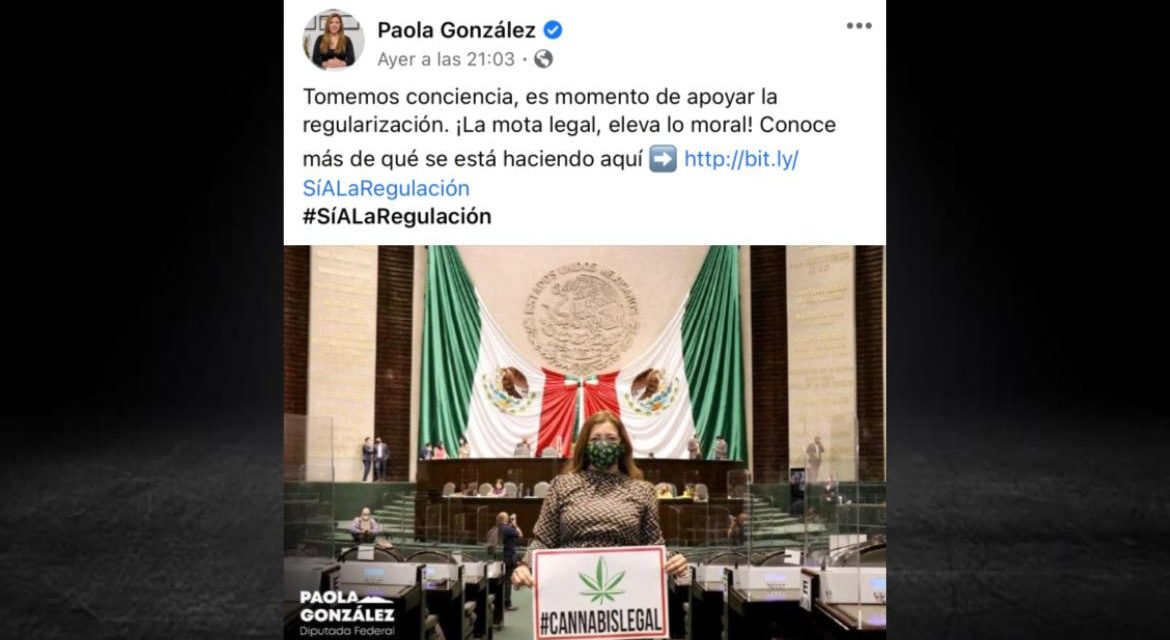 PAOLA GONZÁLEZ UNA DIPUTADA DESTACADA EN SUS LUCHAS, QUE PIDE TOMEN CONCIENCIA<br>