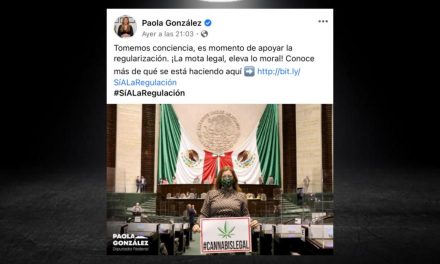 PAOLA GONZÁLEZ UNA DIPUTADA DESTACADA EN SUS LUCHAS, QUE PIDE TOMEN CONCIENCIA<br>