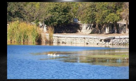 PREPAREN LONCHES, BLOQUEADOR Y FLOTIS QUE PODRAN VISITAR EL PARAJE LA LAGUNA, EN HIGUERAS, PARA SEMANA SANTA. EL ALCALDE INVITA