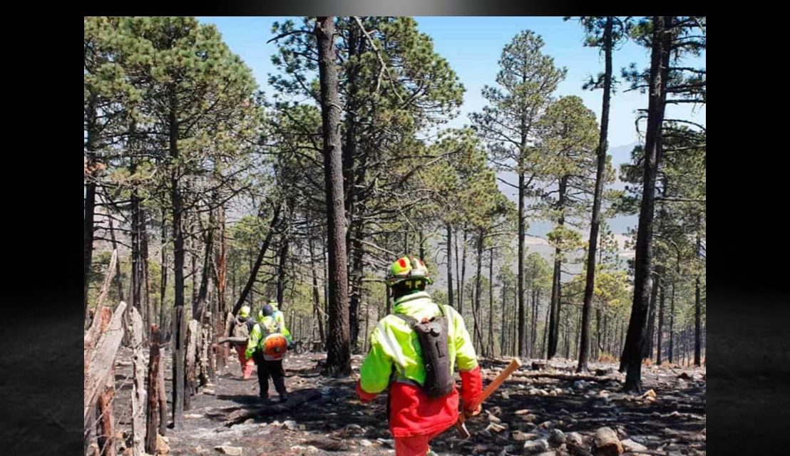 EPIDEMIA DE INCENDIOS AFECTA NUEVO LEÓN<br>