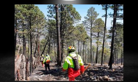 EPIDEMIA DE INCENDIOS AFECTA NUEVO LEÓN<br>