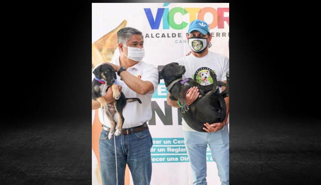 VÍCTOR FUENTES REAFIRMA SU COMPROMISO CON LAS MASCOTAS REGIAS<br>