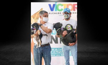 VÍCTOR FUENTES REAFIRMA SU COMPROMISO CON LAS MASCOTAS REGIAS<br>